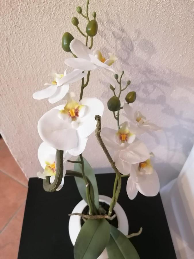 Perla Del Golfo Apartman Lerici Kültér fotó